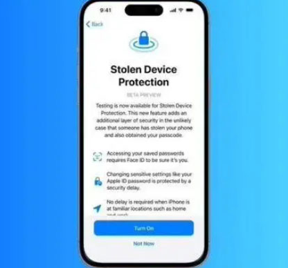 岑溪苹果授权维修店分享被盗设备保护功能开启方法 