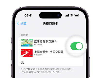 岑溪apple维修点分享iPhone上更换Apple Pay快捷交通卡手绘卡面 