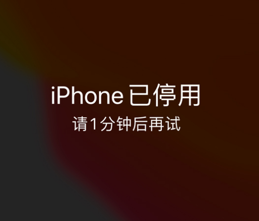 岑溪苹果手机维修分享:iPhone 显示“不可用”或“已停用”怎么办？还能保留数据吗？ 