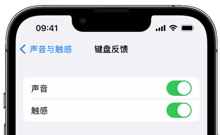 岑溪苹果手机维修分享iPhone 14触感键盘使用方法 