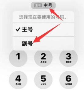 岑溪苹果14维修店分享iPhone 14 Pro Max使用副卡打电话的方法 