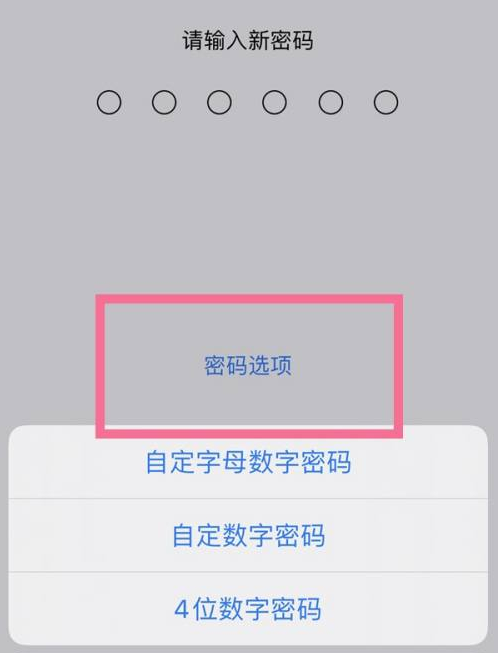 岑溪苹果14维修分享iPhone 14plus设置密码的方法 