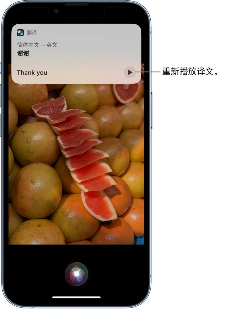 岑溪苹果14维修分享 iPhone 14 机型中使用 Siri：了解 Siri 能帮你做什么 