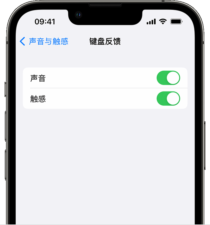 岑溪苹果14维修分享iPhone 14 系列机型如何开启键盘声音或触感反馈 