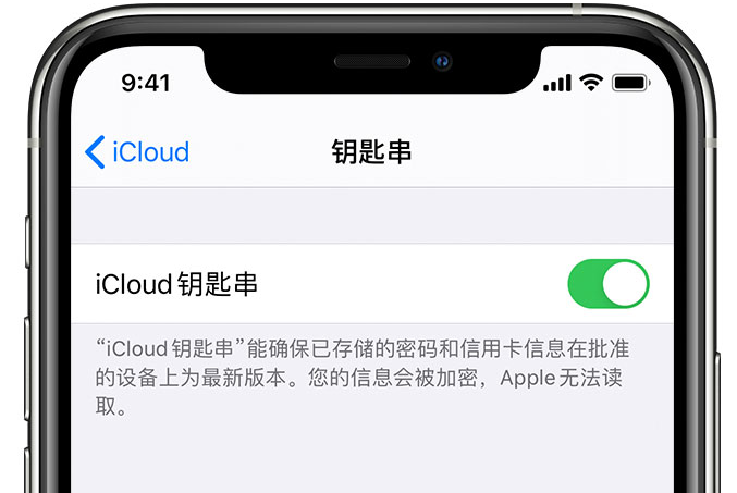 岑溪苹果手机维修分享在 iPhone 上开启 iCloud 钥匙串之后会储存哪些信息 