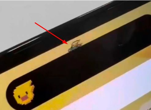 岑溪苹果14维修分享iPhone 14 Pro Max灵动岛怎么养宠物 
