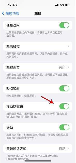 岑溪苹果手机维修分享iPhone手机如何设置摇一摇删除文字 