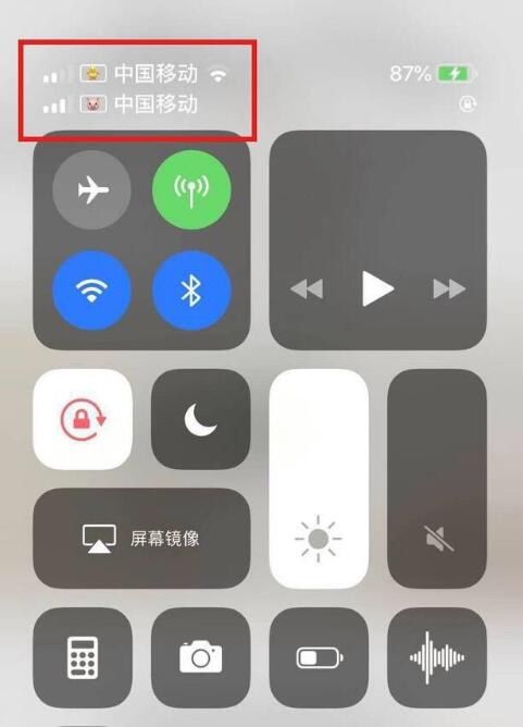 岑溪苹果手机维修分享为 iPhone 12 双卡设置标签 