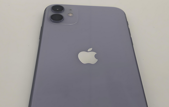 岑溪苹果11系统维修分享iPhone11手机系统崩溃无法开机如何解决 