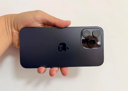 岑溪苹果维修点分享iPhone 14 Pro Max黑屏少见故障盘点 